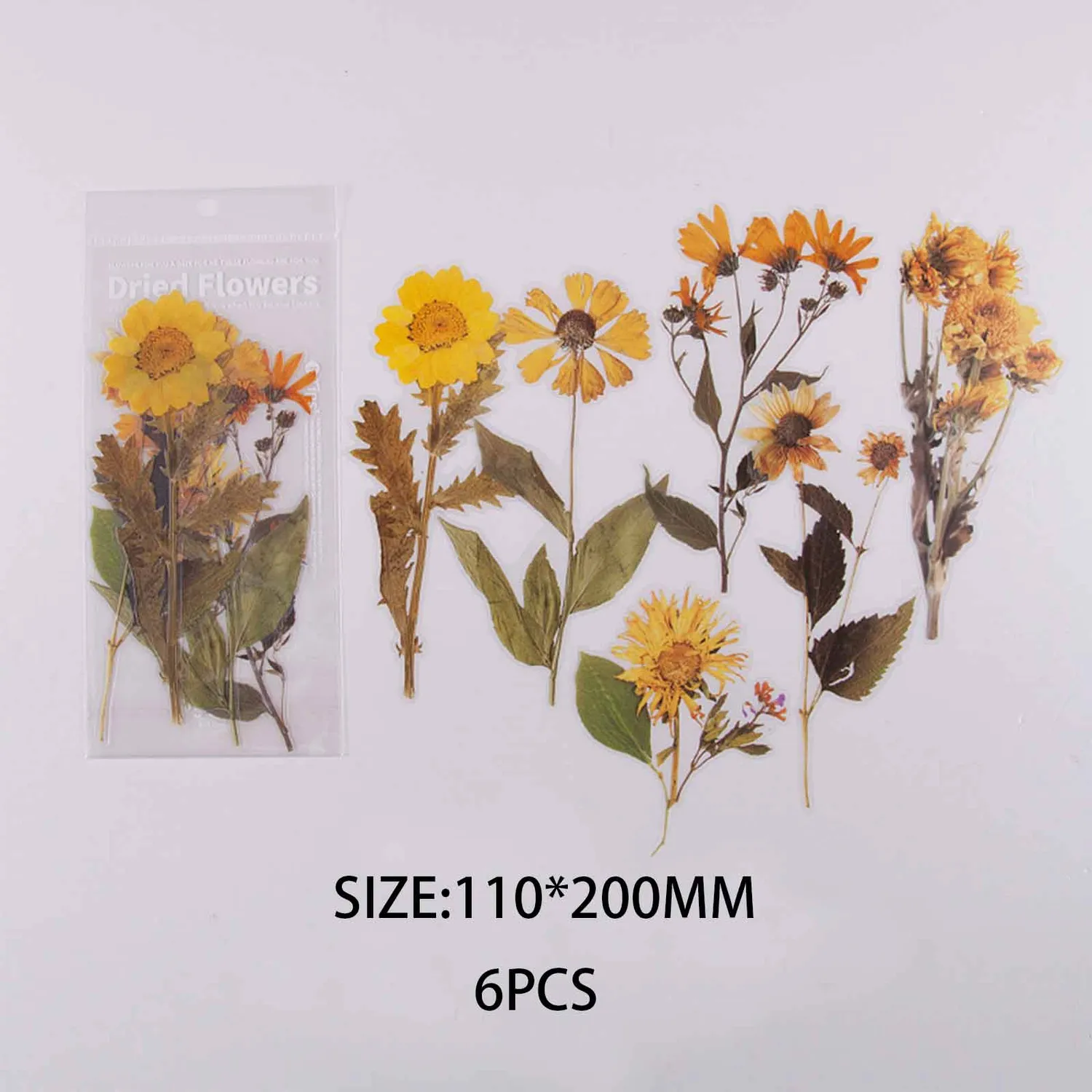 Ieebee Flower PET Sticker 6-teilig Multiflora Rose