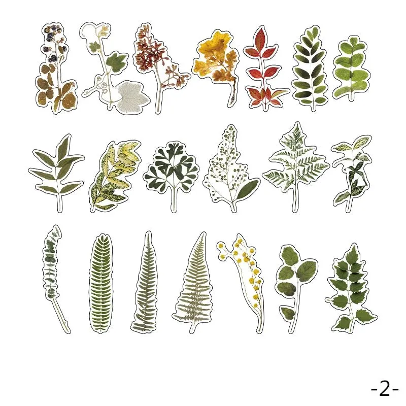 Ieebee Plant Collection PET-Sticker 40 Stück Wilted Rose