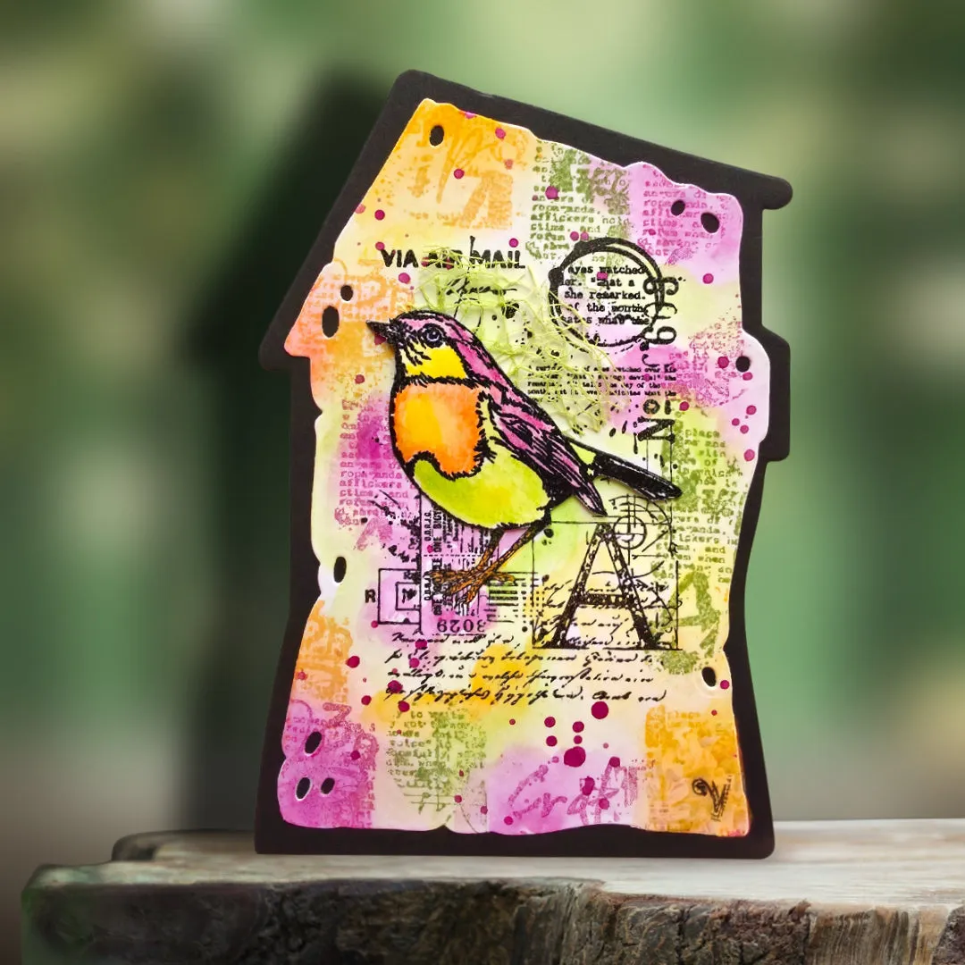AALL and Create TP-1353 Mailbird A Stempel A7 klar