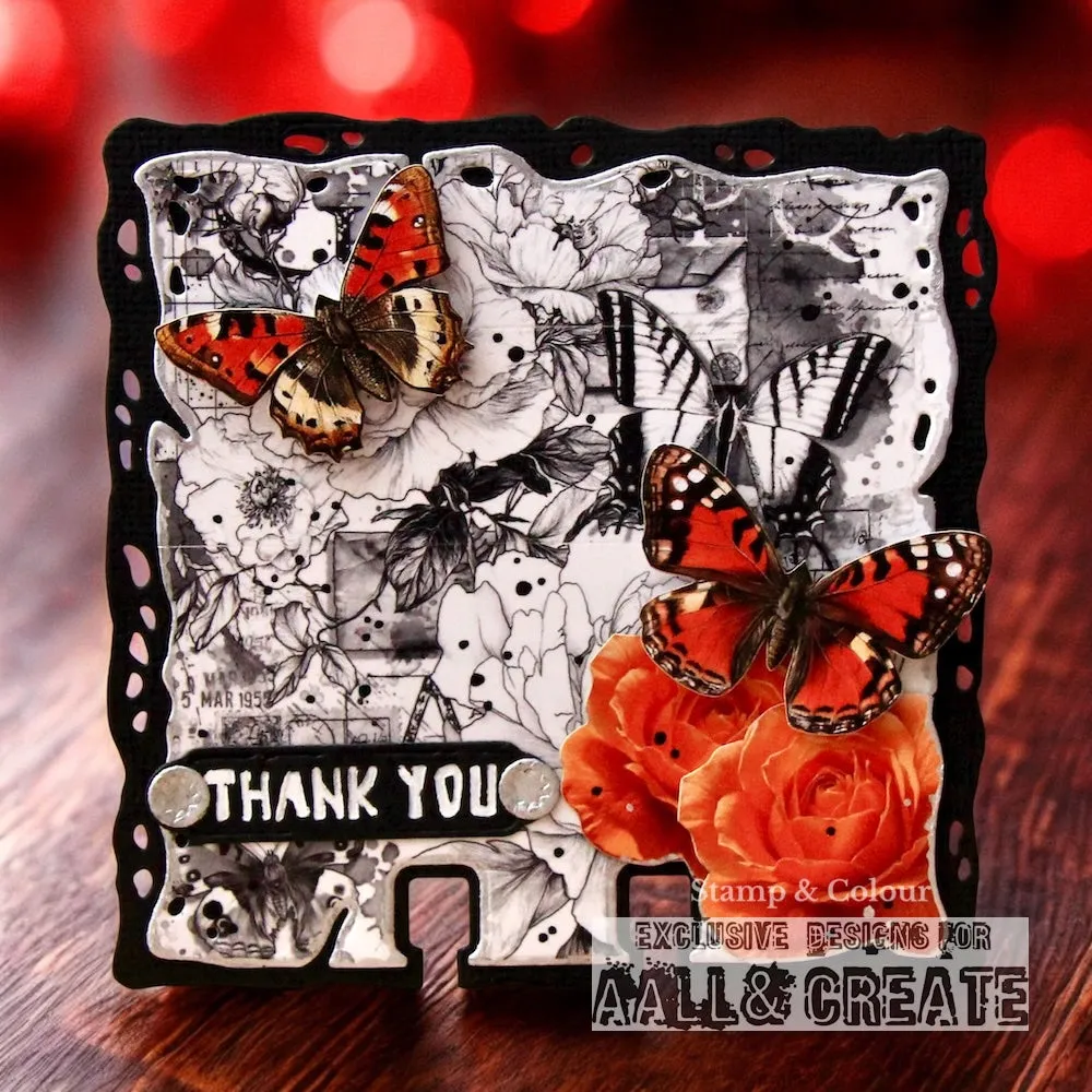 AALL and Create Nocturne Flight Washi Tape 4er-Set dunkel