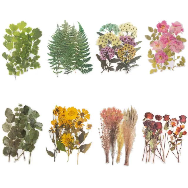Ieebee Flower PET Sticker 6-teilig Multiflora Rose