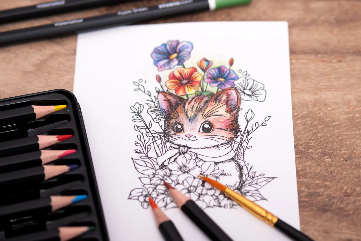 StudioLight Essentials Aquarellstifte 12er farbig
