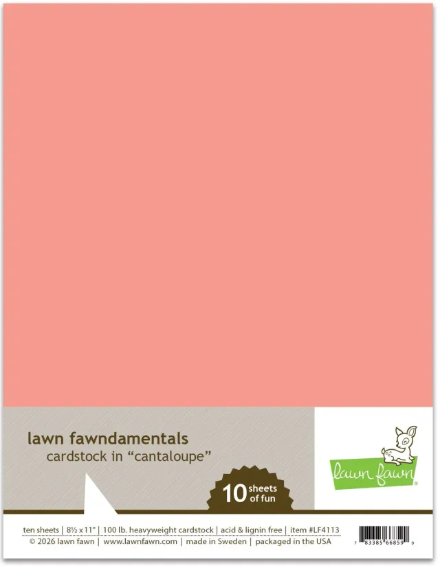 Lawn Fawn Cantaloupe Cardstock Orange 10 Blatt 100lb