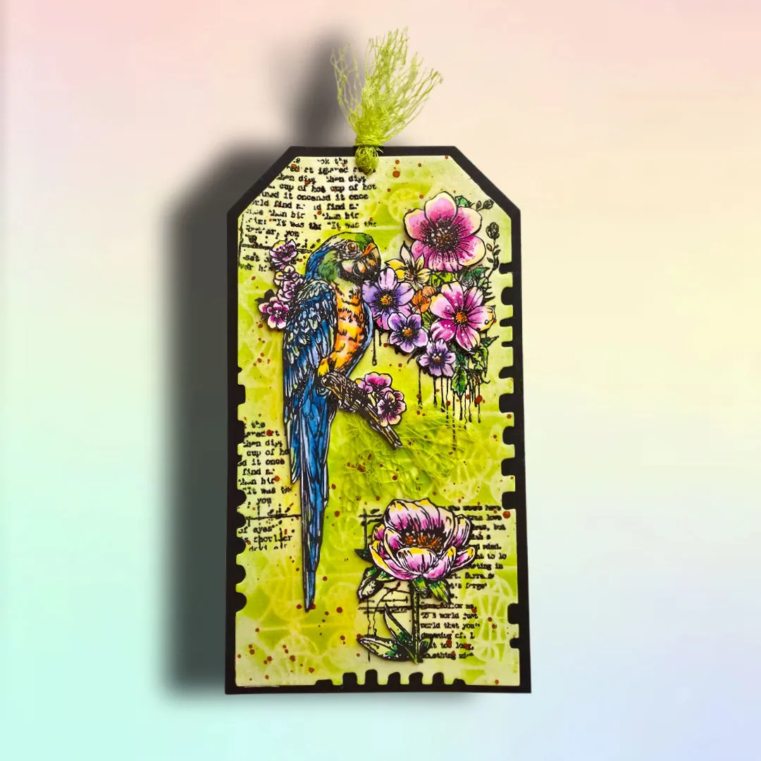 AALL and Create PC-278 Dentelle De Fils Schablone 15x15 cm Spitze