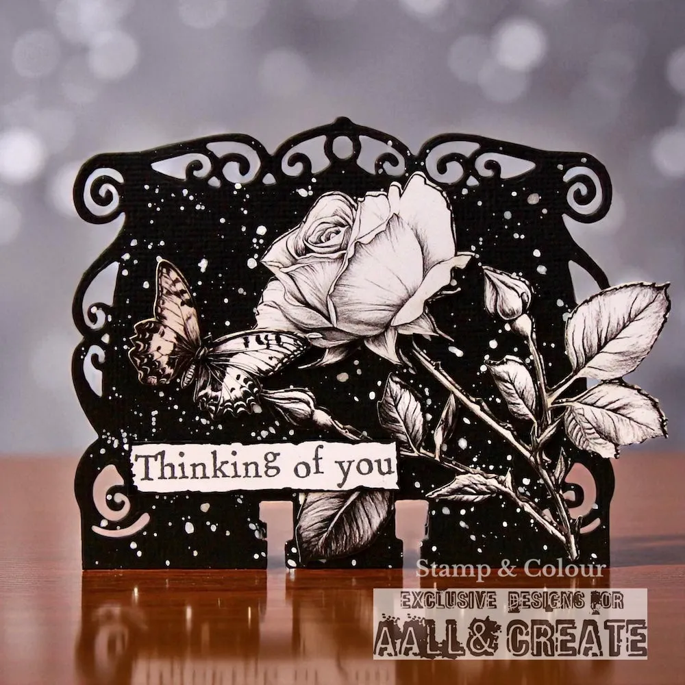 AALL and Create October 2025 Komplettkollektion Bundle