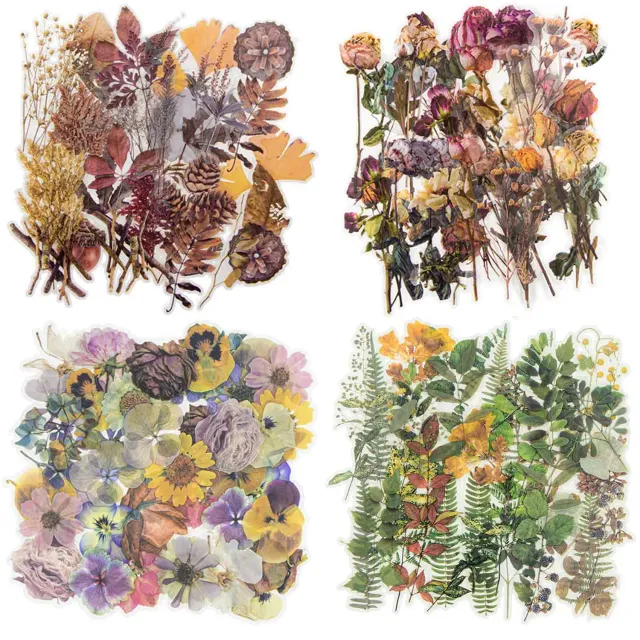 Ieebee Plant Collection PET-Sticker 40 Stück Wilted Rose