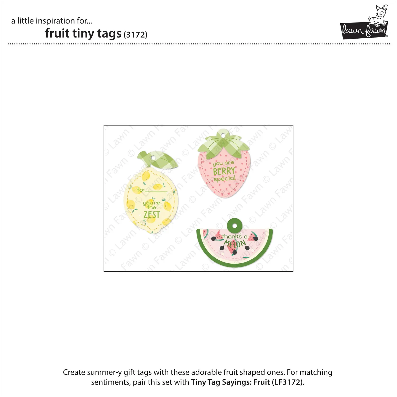 Lawn Fawn Fruit Tiny Tags Stanzschablone Obst Anhänger