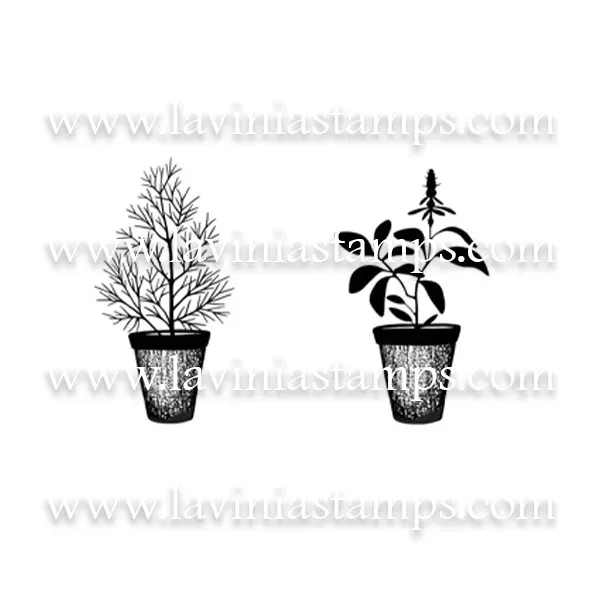 Lavinia Stamps Dill Sage Pots Digitalbild Download Kräuter