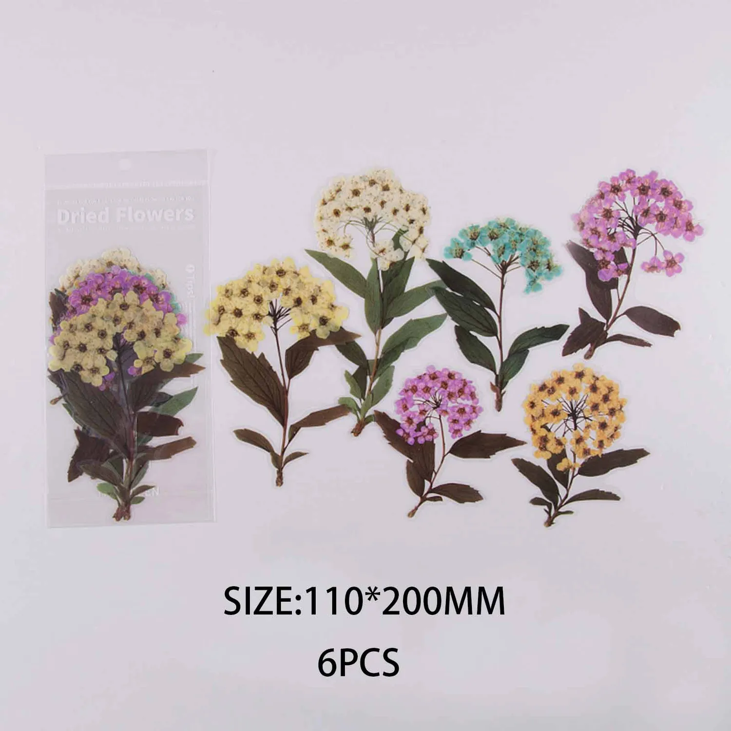 Ieebee Flower PET Sticker 6-teilig Multiflora Rose