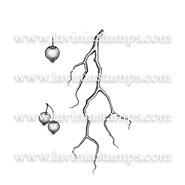 Lavinia-Stamps Berry Branch Digitale Kunst JPEG