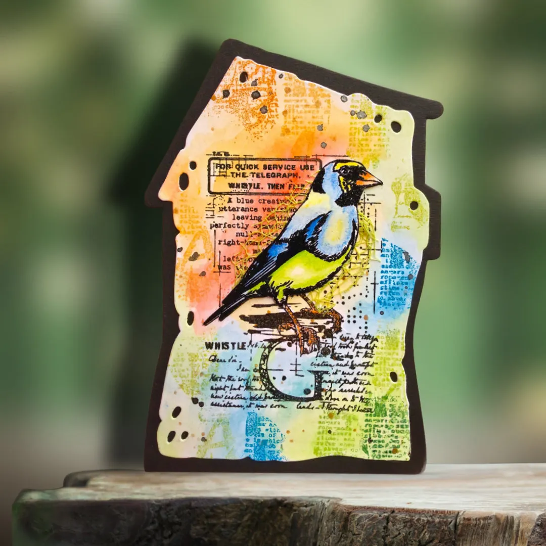AALL and Create TP-1350 Whistling Finch Stempel A7