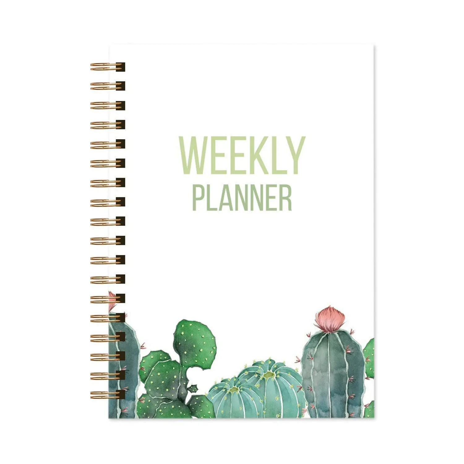 Ieebee Desert Blossom Wochenplaner A5 Cactus Green Woche