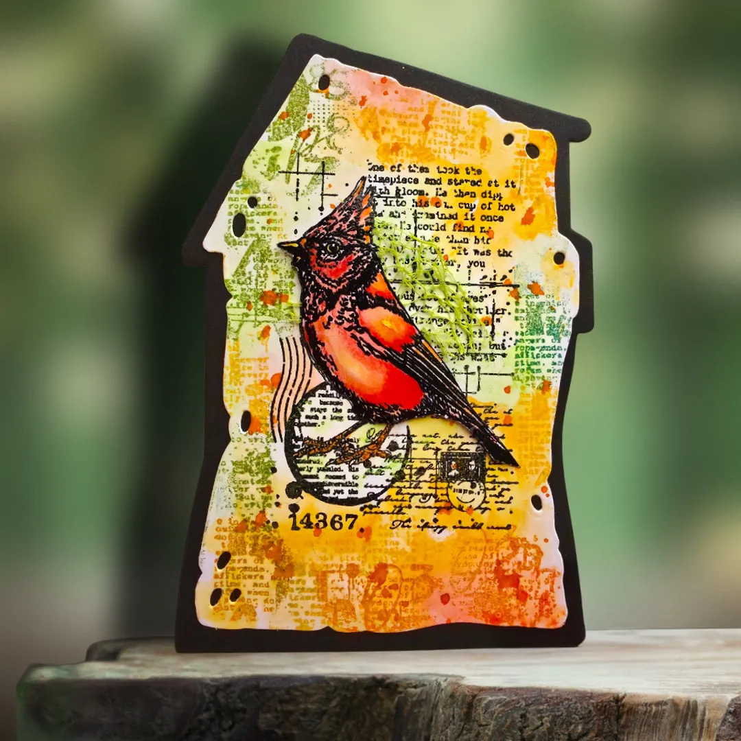 AALL and Create TP-1352 Cardinal Stare Stempel A7 Vogel
