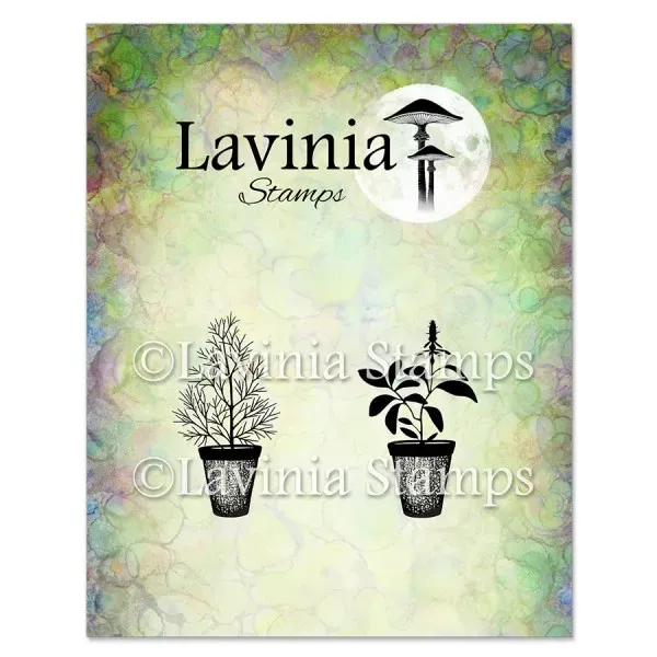 Lavinia Stamps Dill & Sage Pots Stempel Photopolymer