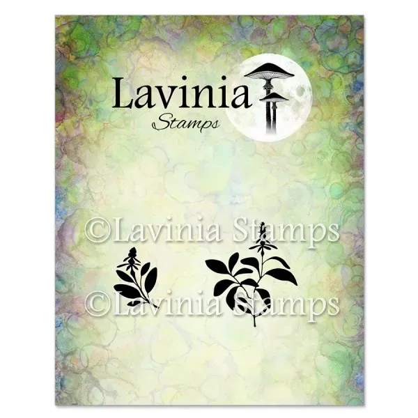 Lavinia Stamps Sage Stempel Photopolymer fein