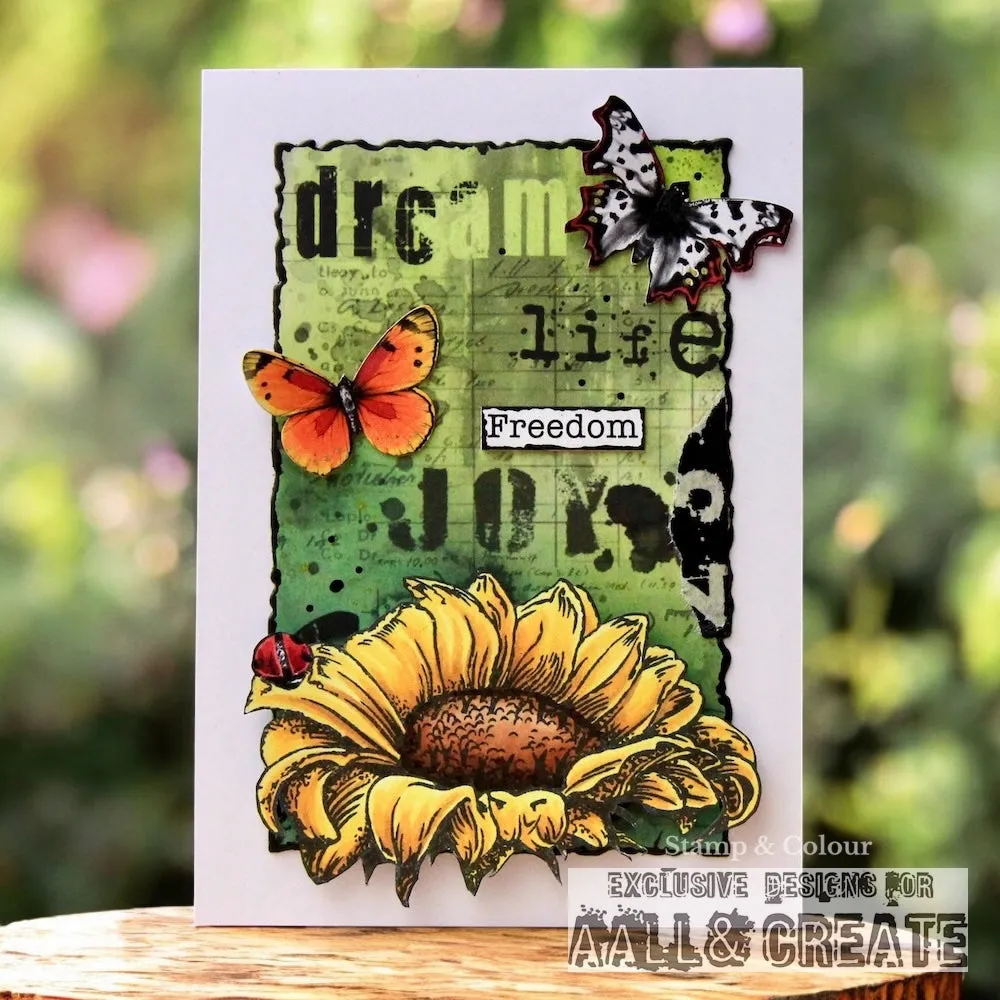 AALL and Create Monochrome Garden Collection Pack 10-teilig Botanik