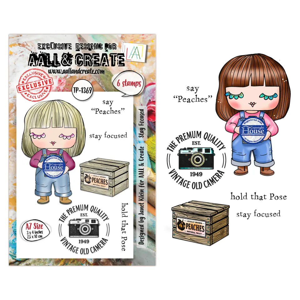 AALL and Create TP-1369 Stay Focused Stempelset A7 Janet Klein